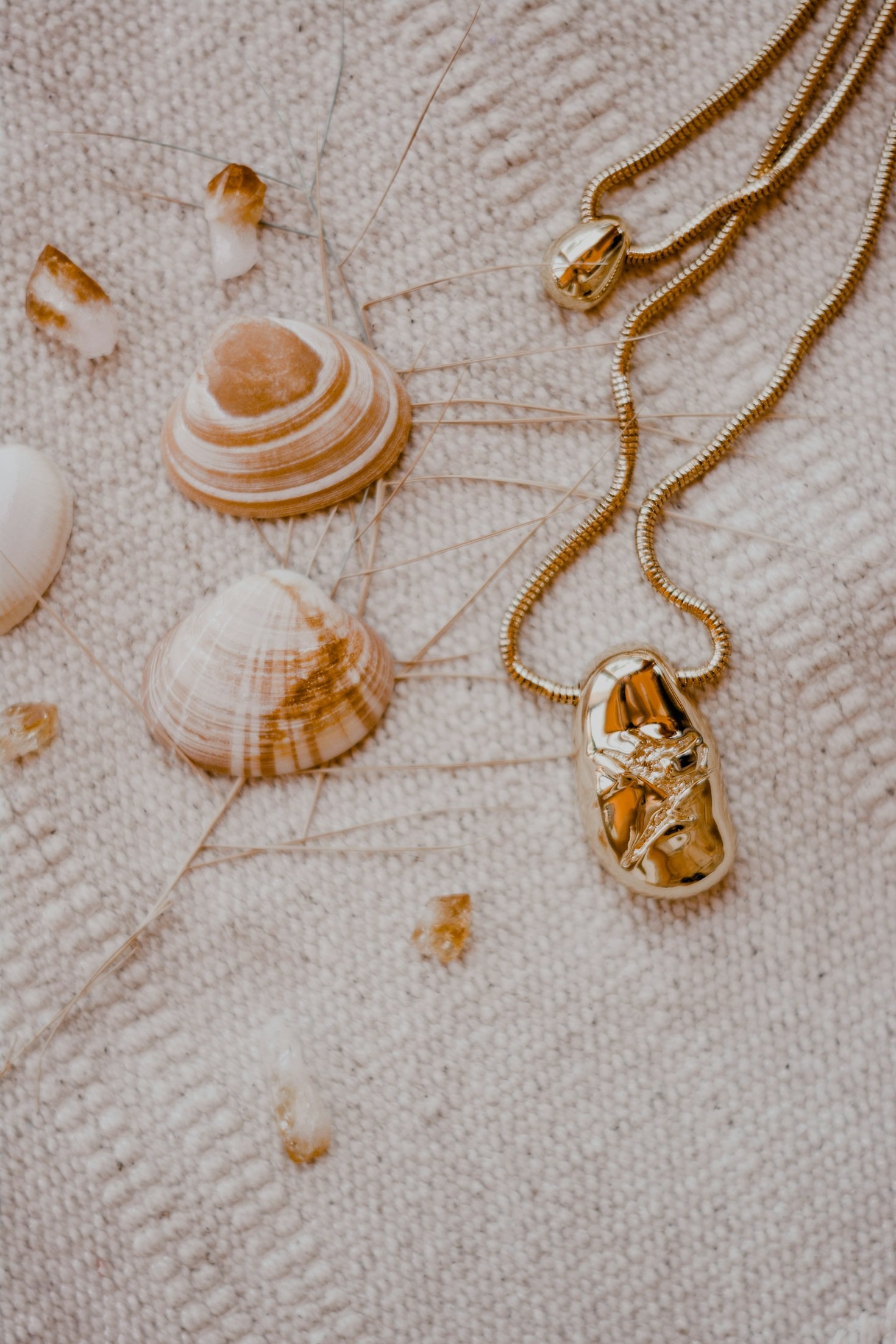 Marine Conservation Tips For Coastal Lovers